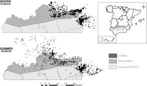 Join facebook to connect with daniel del moral galan and others you may know. Rewilding Processes Shape The Use Of Mediterranean Landscapes By An Avian Top Scavenger Scientific Reports