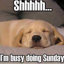 Sunday Funny Morning Quotes Funny Sunday Quotes Sunday Quotes Funny