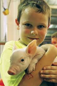 After absence of 55 years, Williamson County Fair made return in 2005