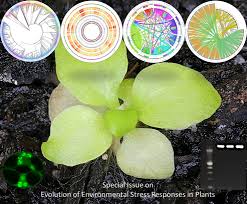 Maybe you would like to learn more about one of these? Plant Cell Environment