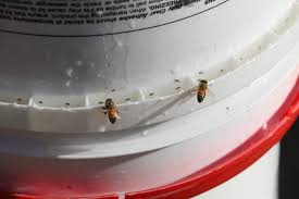 Fbm 8 & 10 frame no drown feeder diy eplans $7.99. Diy Bee Yard Feeder Video Keeping Backyard Bees