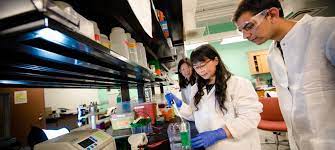 › best computer engineering companies. 2021 Engineering Salary Statistics College Of Engineering Michigan Technological University