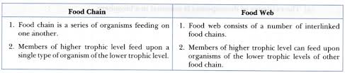We did not find results for: Give Two Differences Between Food Chain And Food Web Cbse Class 10 Science Learn Cbse Forum