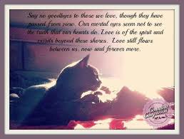 Say No Goodbye Pet Grief Pet Loss Grief Cat Neutering