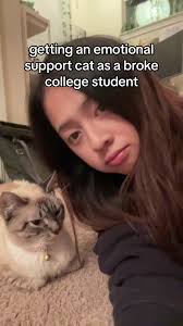 Cat Owned by A College Srudent