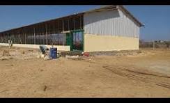 CHEAP MODERN CHICKEN HOUSE CONSTRUCTION ( PART 2) (Finishing ...