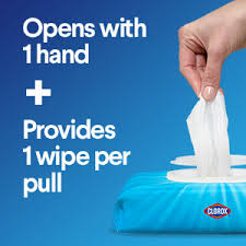 Free delivery for many products! Amazon Com Clorox Disinfecting Wipes Bleach Free Cleaning Wipes Fresh Scent Moisture Lock Lid 75 Wipes Pack Of 3 Package May Vary Health Personal Care