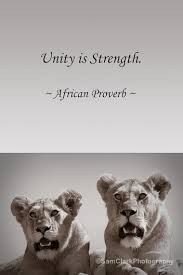 Quotes About Animal Vets 38 Quotes