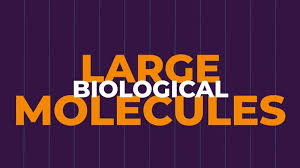 Dna is the blueprint of life because it contains instructions on how to make proteins in the body. Messenger Rna Description Function Britannica