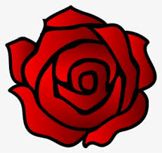 Bunga mawar putih melambangkan kemurnian, kesucian dan ketulusan. Drawing Rose Black And White Stencil Cc0 Bunga Mawar Hitam Putih Free Transparent Clipart Clipartkey