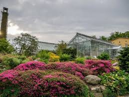 Car hire see all potsdam car hire. Der Botanische Garten Potsdam Garten Der Vielfalt In Sanssouci