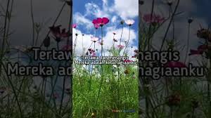 Check spelling or type a new query. Keluarga Bagiku Segalanya Youtube