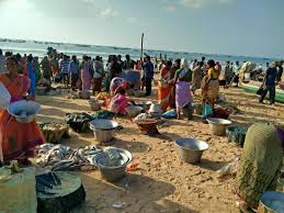 Check spelling or type a new query. Ramapuram Beach Picture Of Ramapuram Beach Chirala Tripadvisor