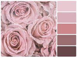 Nombre químico 6 (hidroximetil)oxano 2,3,4,5 tetrol … wikipedia español. Altrosa Schlafzimmer Decor Ideen Fur Farbkombinationen Als Wandfarbe Grau Feinefarben Alpina Beig Altrosa Schlafzimmer Altrosa Wandfarbe Rosa Farbpaletten