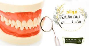 ما فوائد القرض للاسنان glassware tableware mugs