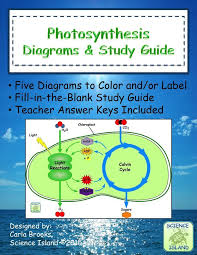 Photosynthesis Diagrams And Study Guide Distance Learning Photosynthesis Teaching Biology Biology Classroom