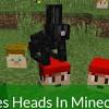 The youtuber heads blocks are dropped by mobs such as the spider and other monsters you might come across in minecraft. 1