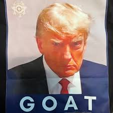 Trump es la camiseta Mugshot más grande de todos los tiempos, camiseta  Trump Mugshot, Donald Trump Mugshot 2023