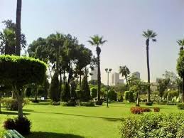 النشوة الجنسية عند المرأة تختلف تماما عن الرجل، بمعني أن الرجل يمكن أن يحقق النشوة الجنسية عن طريق ادخال قضيبه في فرج الزوجة النشوة هي شعور المرأة بالراحة عند اكتمال اثارتها الجنسية، ويحدث لها شد في عضلات جسمها وخصوصا عضلات المهبل مع عضلات الحوض. ØªØ¨Ø¯Ø£ Ù…Ù† 5 Ø¬Ù†ÙŠÙ‡Ø§Øª Ù†Ø±Ø´Ø­ Ù„Ùƒ 15 Ù…ÙƒØ§Ù†Ø§ Ù„Ù‚Ø¶Ø§Ø¡ ÙØ³Ø­Ø© Ø§Ù„Ø¹ÙŠØ¯ Ø¨Ø£Ù‚Ù„ Ù…ØµØ±Ø§ÙˆÙ‰
