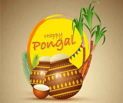 As you joyfully celebrate the festival of pongal and welcome the harvest season, this greeting is being sent your way, to wish you everything, which the occasion is meant to bring. Happy Pongal 2020 Wishes Sms Quotes Messages Facebook And Whatsapp Status To Share On This Festival