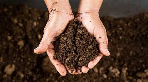 How to Build Garden Soil Without Buying Truckloads of Compost