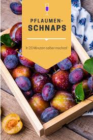 Rezept Fur Pflaumenschnaps Zum Selber Machen Nach Belieben Pflaumenschnaps Mit Wodka Oder Rotwein Zubereiten Me Schnaps Schnaps Selber Machen Schnaps Rezepte