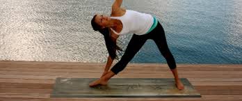 We did not find results for: Plank Yoga Mats Review Giveaway Greener Ideal