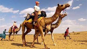 Elephants are majestic creatures and were among the most valuable assets of the. Camel Safari Tour