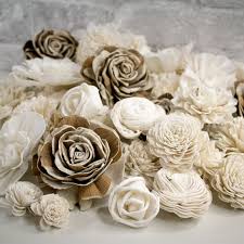 Sola wood is extremely soft and can compare with similar items. Sola Wood Flowers Wholesale Products Buy With Free Returns On Faire Com