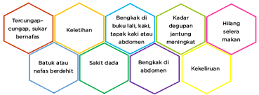 Serangan jantung bisa terjadi pada siapa pun, bahkan terhadap orang tanpa riwayat penyakit jantung. Kegagalan Jantung My Health My Life