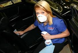 Before getting to the actual mold, remove all the moisture that's in your carpet. How To Remove Mould From Your Car