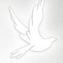 Profile Picture of Patrick Ray Cantu Jr. Obituary (2024) - Alice, TX - Trevino Funeral Home (@legacy.com) on Google