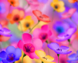 Hd wallpapers and background images. Cute 3d Flowers Wallpapers Top Free Cute 3d Flowers Backgrounds Wallpaperaccess