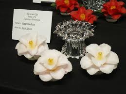 Sd county orchid society winter show/sale: Bagsc Exhibits Botanical Camellia Art At Descanso Camellia Flower Show Bagsc News