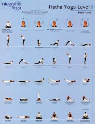 1 Hour Yoga Sequence Hatha Yoga Poses Yoga Asanas Hatha Yoga