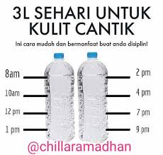 Mau Kulit Sehat Cantik Glowing Minuman Gaya Hidup Sehat Kulit