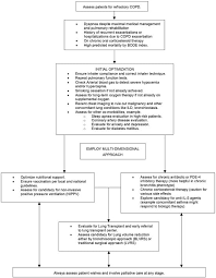 Image result for COPD Management