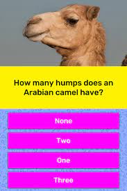 The arabian camel, native to africa, southwest asia, and saudi arabia; How Many Humps Does An Arabian Camel Trivia Answers Quizzclub