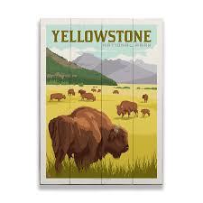 Where the Buffalo Roam at Yellowstone National Park - Wood & Metal Wal –  Old Wood Signs