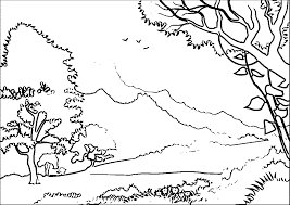 Various animals in a forest, to print and color for free. Forest Coloring Pages Best Coloring Pages For Kids
