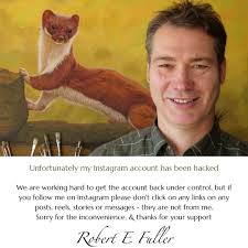 My latest film follows the fortunes of a family of tawny owls as they  overcome loss and adversity to thrive in the wild 🦉🐥🐥