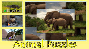 Animal alphabet move and groove a z jack hartmann تحميل واستماع mp3 mp4. Download Animal Alphabet Abc Mp4 Mp3 3gp Naijagreenmovies Fzmovies Netnaija