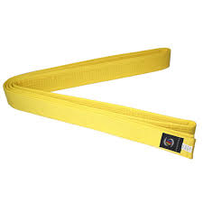Владелец красного пояса с черной нашивкой (1 гып. Zheltyj Poyas Dlya Thekvondo I Karate Buy Shirokie Zheltye Remni Taek Won Do Poyas Remni Dlya Detej Product On Alibaba Com