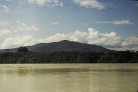 We did not find results for: 32 Ideas De Rio Orinoco Rio Venezuela Venezuela Paisajes