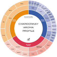 Infographics Guide To Chardonnay Wine Grape Variety