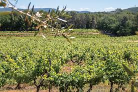 Pour investir dans votre propre propriété agricole de prestige, avec terrain immense, bâtisse de caractère, découvrez nos annonces immobilières de propriétés de prestige à vendre. Achat Proprietes Agricoles Et Viticoles Fayence Et Environs