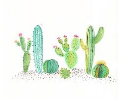 Use a wet brush to paint clean water in oval shapes on to your watercolor paper. Watercolor Ideas Easy Cactus 720x576 Download Hd Wallpaper Wallpapertip