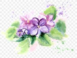Maybe you would like to learn more about one of these? African Violets Flower Watercolor Painting Png 803x615px Violet African Violets Blossom Color Floral Design Download Free