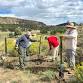 Carson Legacy Trail Project