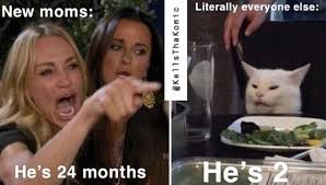 Woman Yelling At Cat Memes That Perfectly Showcase Strange Southern Slang Laughing So Hard Funny Memes Cat Memes
